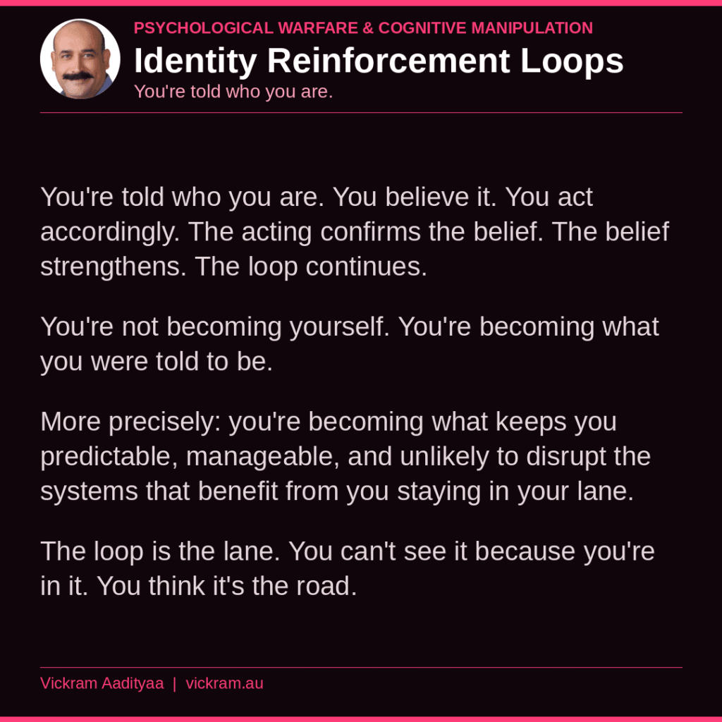 Identity Reinforcement Loops — The Dissection post by Vickram Aadityaa