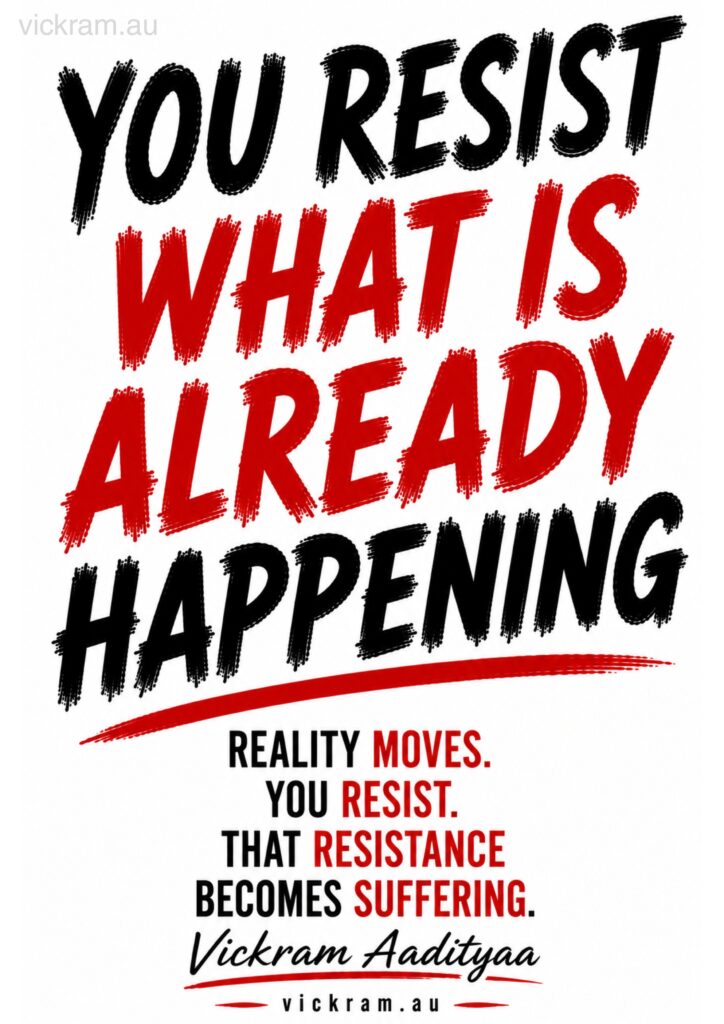 The Dismantling Project poster on resistance and reality by Vickram Aadityaa.